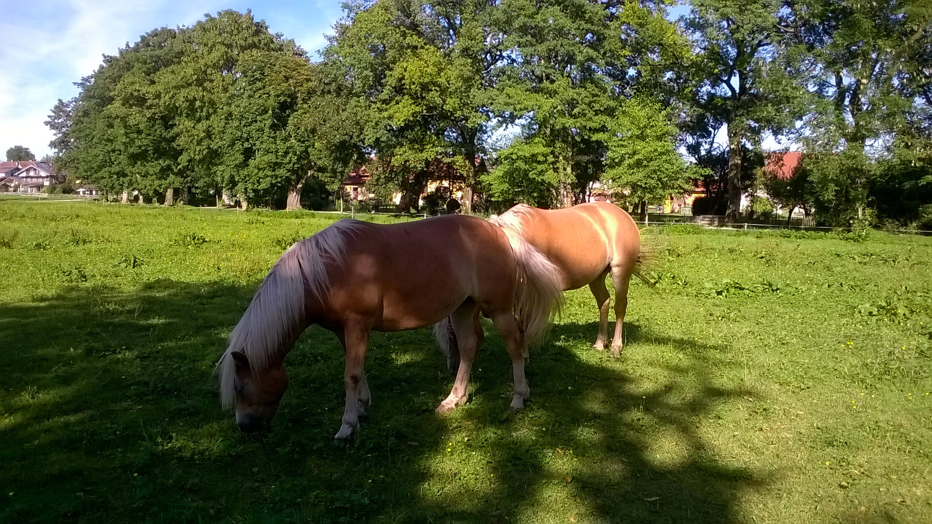 selektive Entwurmung